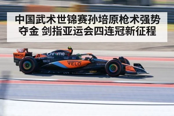 中国武术世锦赛孙培原枪术强势夺金 剑指亚运会四连冠新征程
