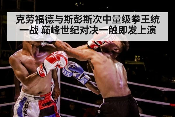 boxer training gloves